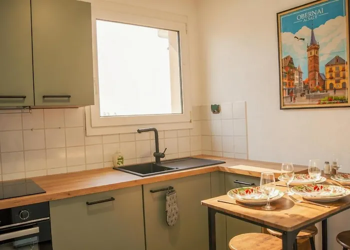 Appartement - 2 - 5min Du Yonaguni Obernai